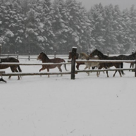 Penzion-Ranc U Trapera Hrabušice Dış mekan fotoğraf